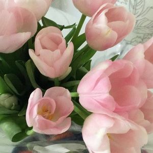 Meet your Posher, Karina